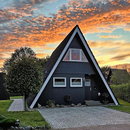 Nur-Dach-Haus Am Alfsee Rieste エクステリア 写真
