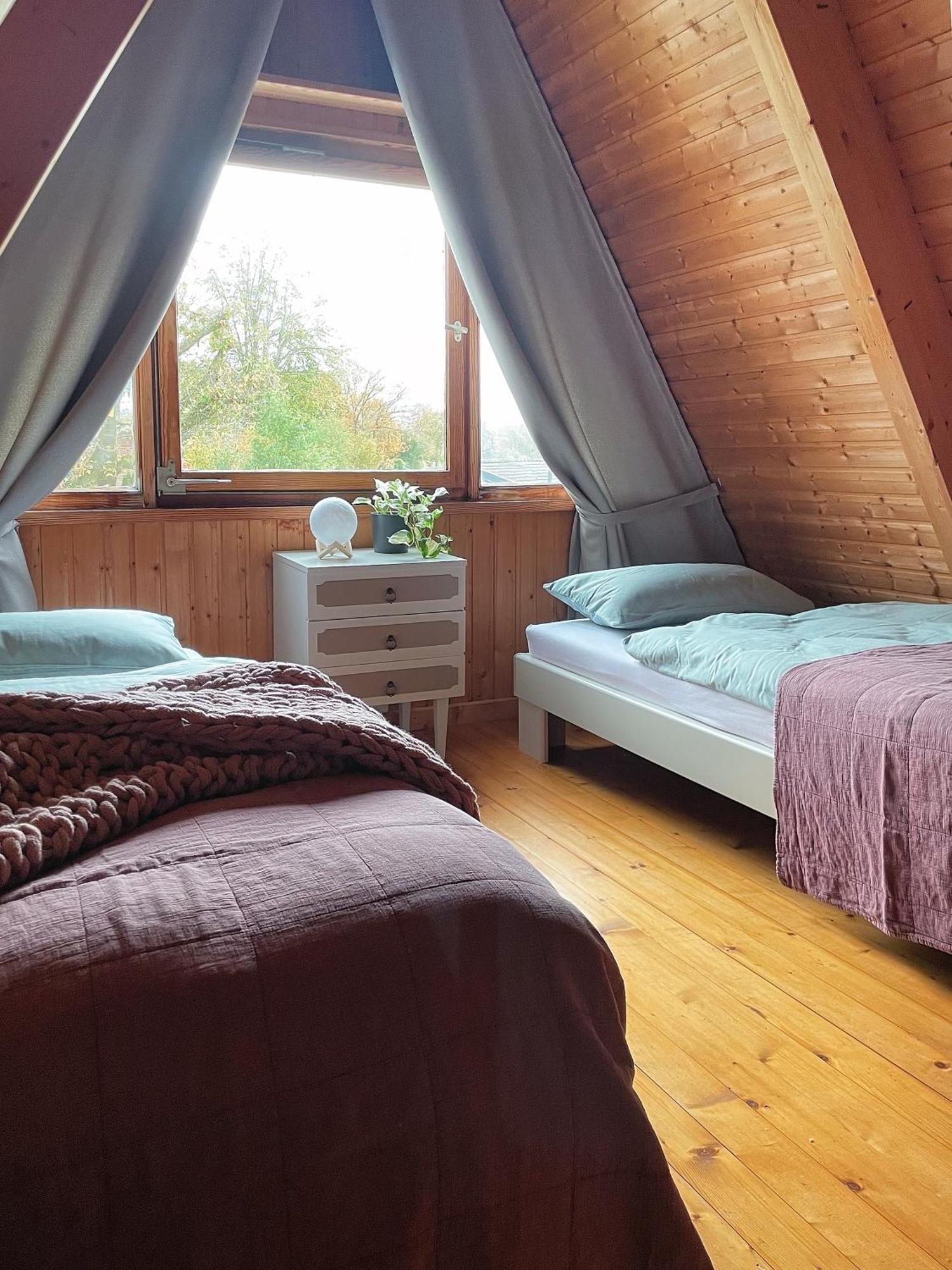 Nur-Dach-Haus Am Alfsee Rieste エクステリア 写真